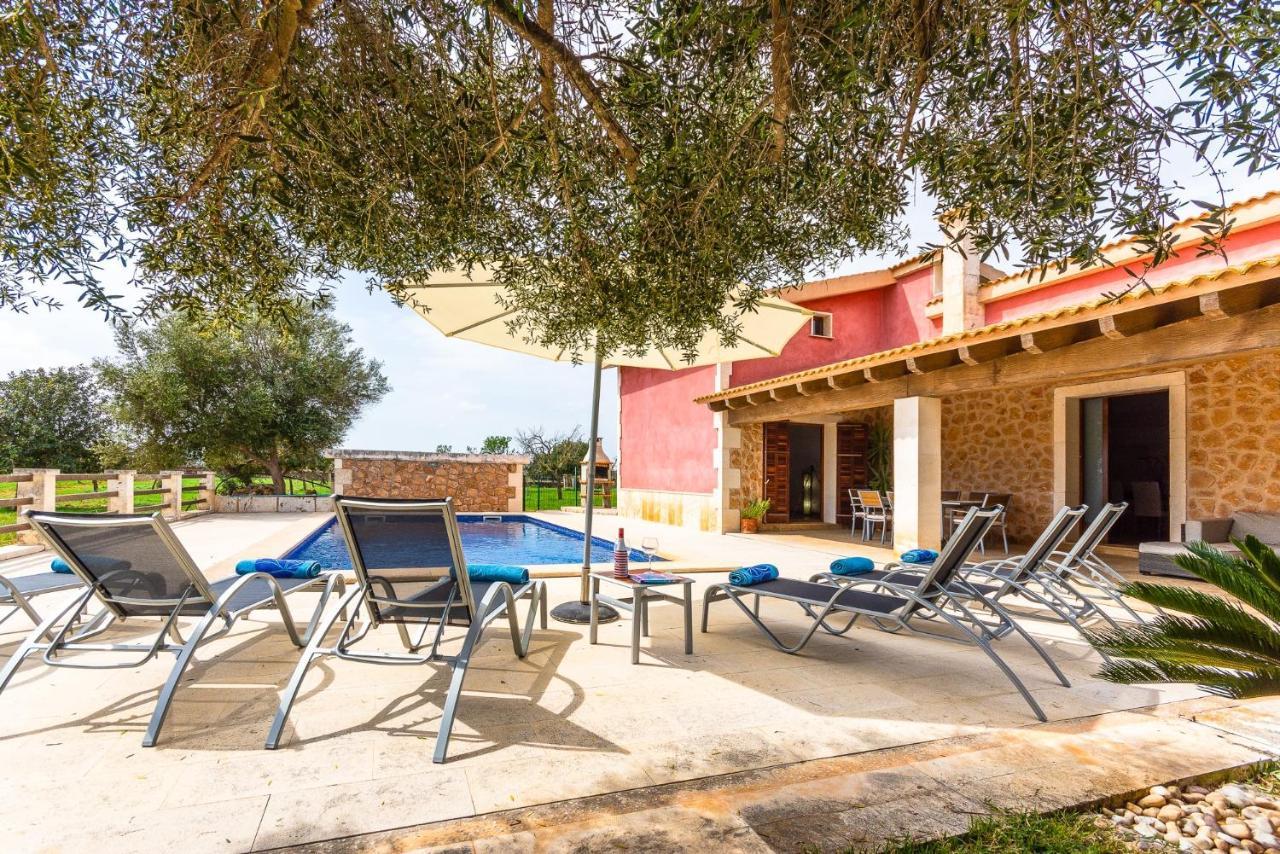 Cuixa Santa Margarita (Mallorca)